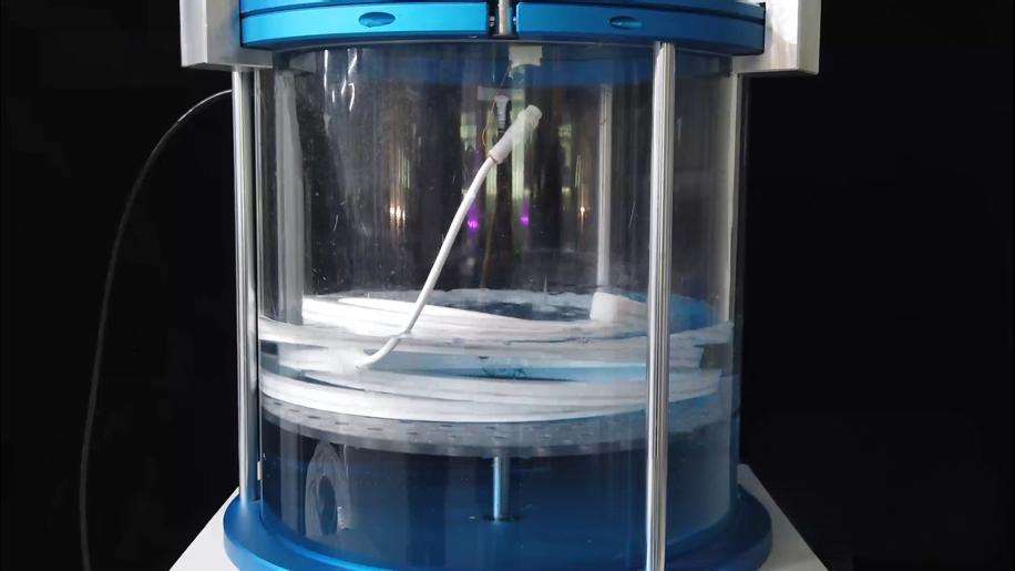 IP Dust Test